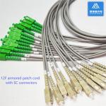 12 Core Sc Apc Fiber Patch Cable 2m Sc Upc Sc Upc Simplex 6.5mm Grey PVC
