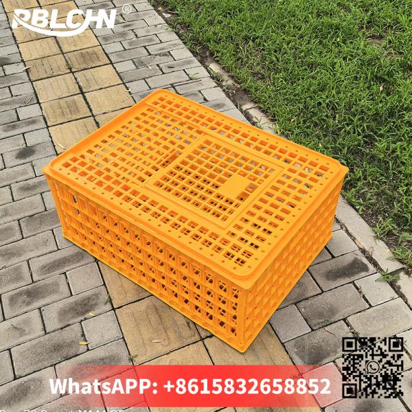 Convenient Smooth Secure Poultry Transportation 74cm*54cm*32cm Large Chicken Cage