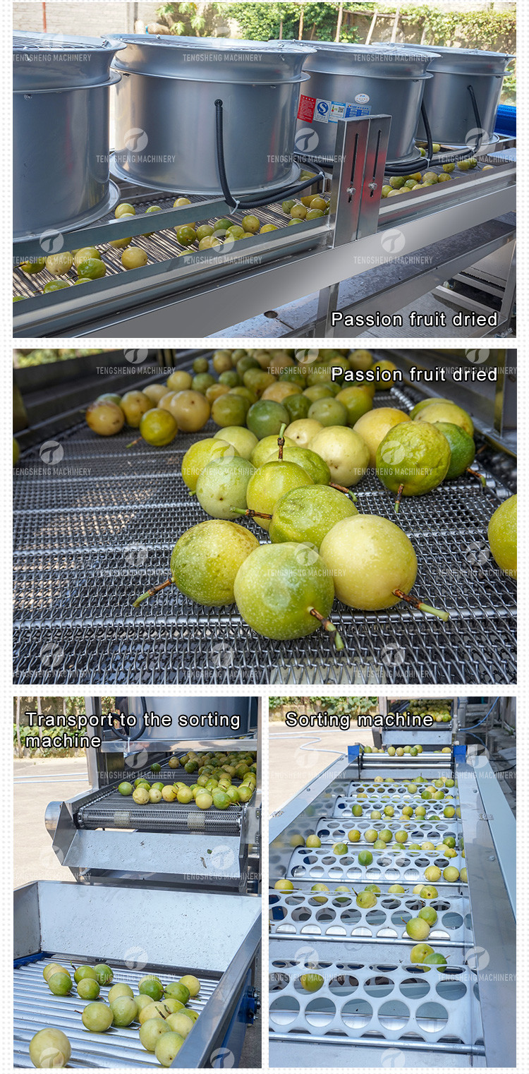 Passion Fruit Bubble Cleaning And Drying Sorting Production Line
