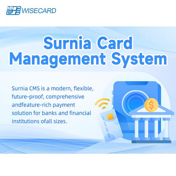 Scalable Card Management System With Automated Alerts English GUI Web Based