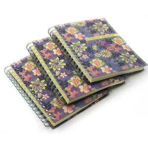 Buy cheap Frosted Spiral Notebook Printing Plastic Cover Bound Diray Custom 65C product