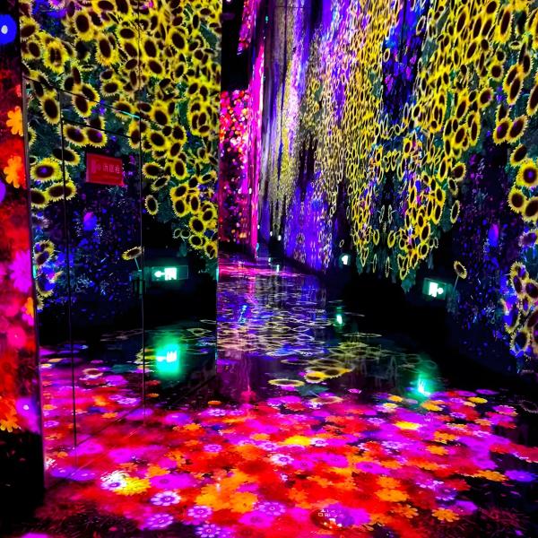 Quality Multiple Channels Immersive Room Projector Immersive Wall Interactive Projection for sale