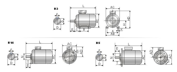 induction motor
