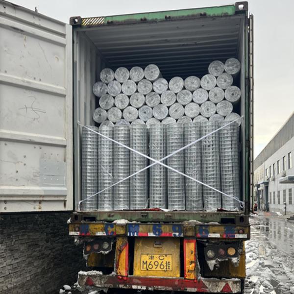 Hot Dipped Galvanized Welded Wire Mesh 14 16 Gauge Free Sample Offered