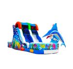 Ocean Amusement Parks And Backyard Parties Inflatable Slides