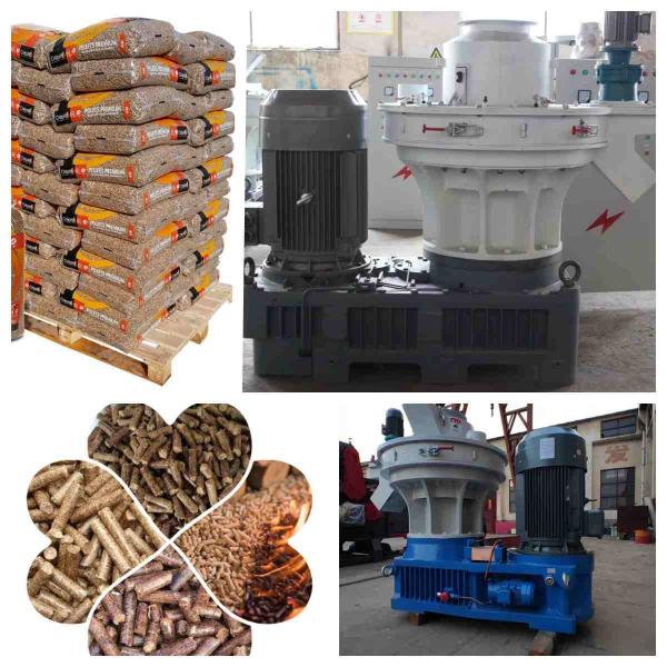 Quality 1-1.5ton/H Ring Die Pellet Mill Machine Wood Rice Husk Pellet Making Machine for sale