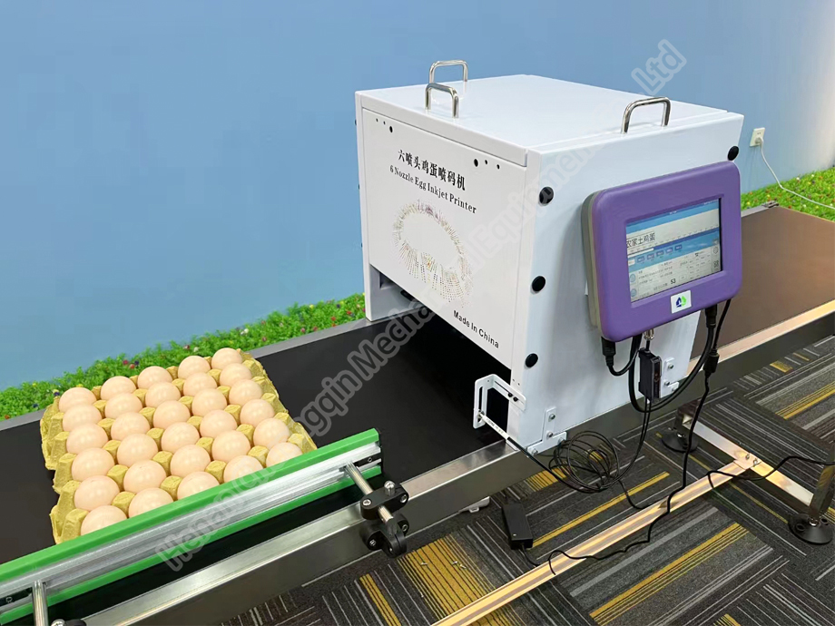 Automatic Egg Coding Machine Inject Printing Machine Small For Eggs Expiry Date Printing Machine
