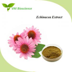 Buy cheap Plant Echinacea Purpurea Extract Powder Natural Herbal Extract Anti Virus product