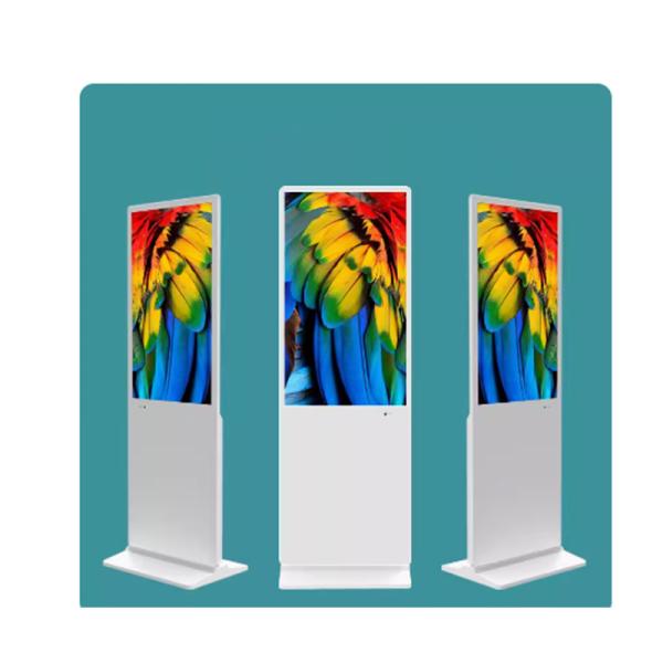 Quality Panel Size 49 Inch Touch Screen Information Kiosk with Toughened Glass Panel for sale
