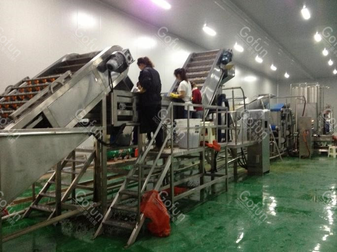 440V Industrial Mango Juice Processing Line mango pulp machine