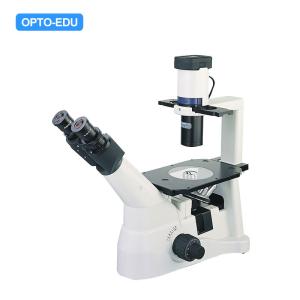 Buy cheap LED Infinity Trinocular Inverted Optical Microscope OPTO-EDU A14.0901 product
