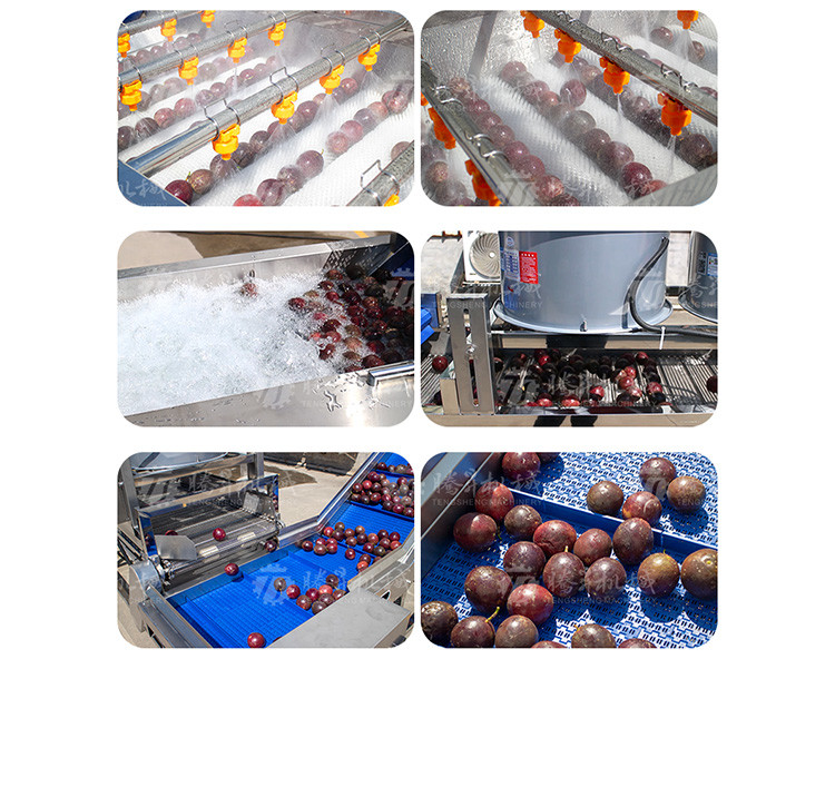 Revolutionize Your Production Process with Our Fruit And Vegetable Processing Line