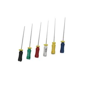 Dorit H Endodontic Hand Files