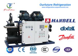 China Garlic Cold Room Hanbell  Condensing Unit Danfoss Valves PLC on sale