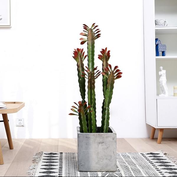 Quality Custom Cactus Ornaments Bonsai Artificial Succulent Plant for sale