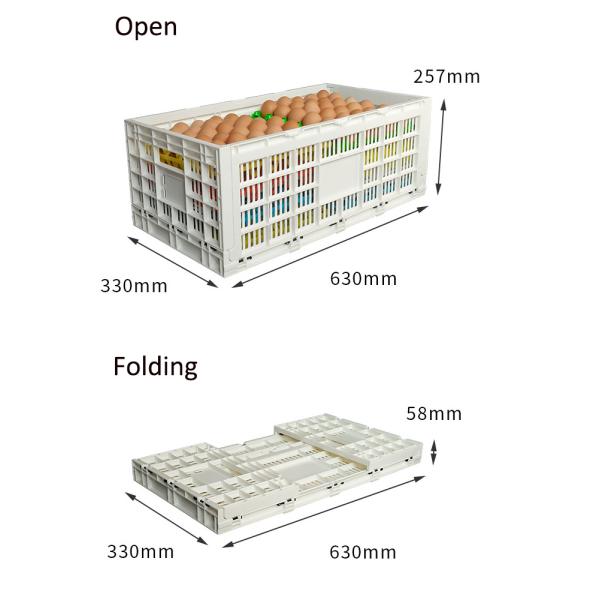 Foldable and Collapsible Egg Crate Meshy Box for Convenient Egg Transportation Solutions