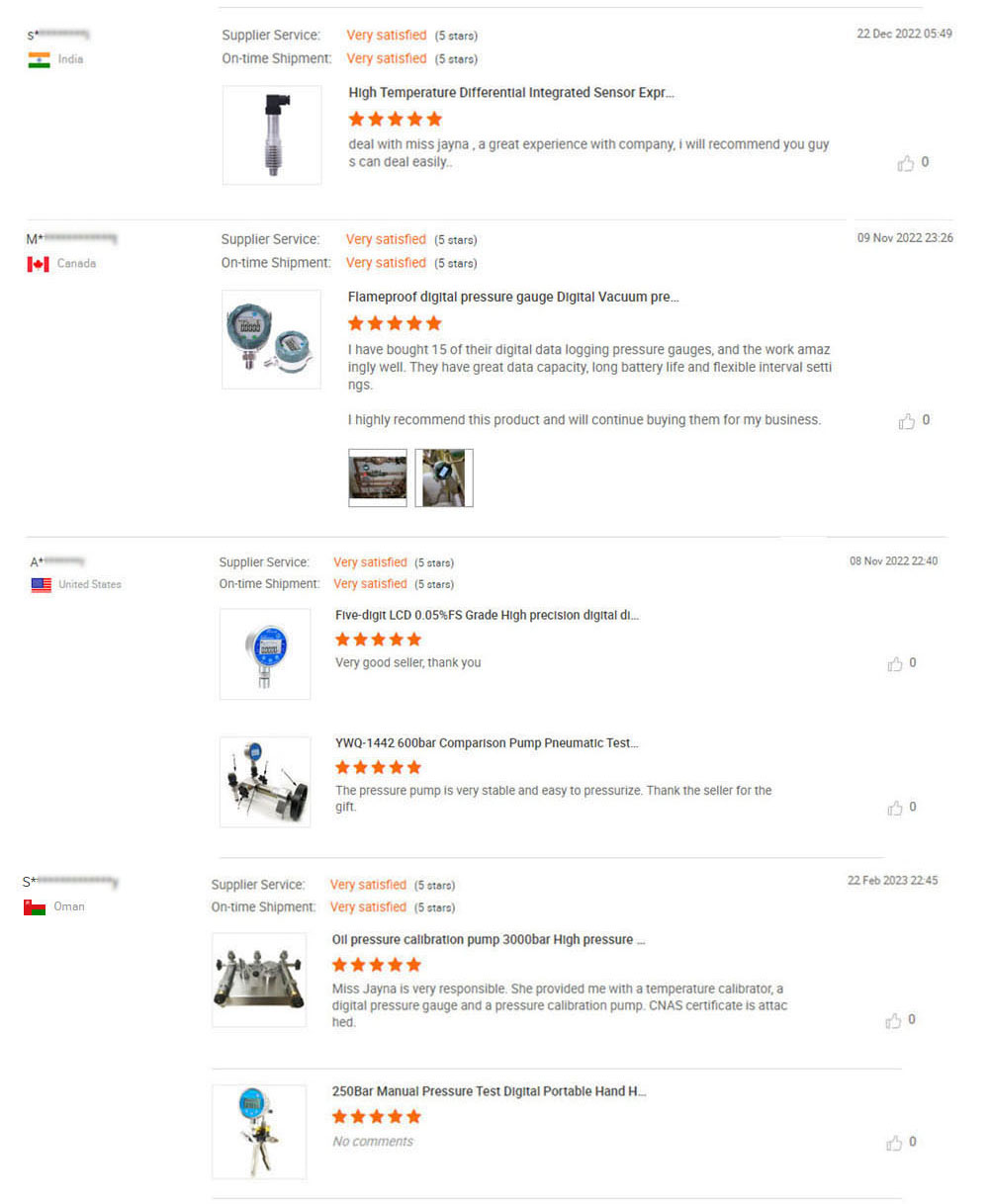 E+H Cerabar PMC71 Digital Pressure Transmitter PMC71 Series Absolute Pressure And Gauge Pressure Transmitter