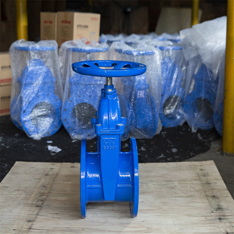 Ggg50 Dn100 Ductile Iron Din F4 Resilient Seated Gate Valve Non Rusting