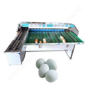 Buy cheap Egg Weight Sorter Machine Egg Size Sorting Machine Chicken Egg Sorting Machine product