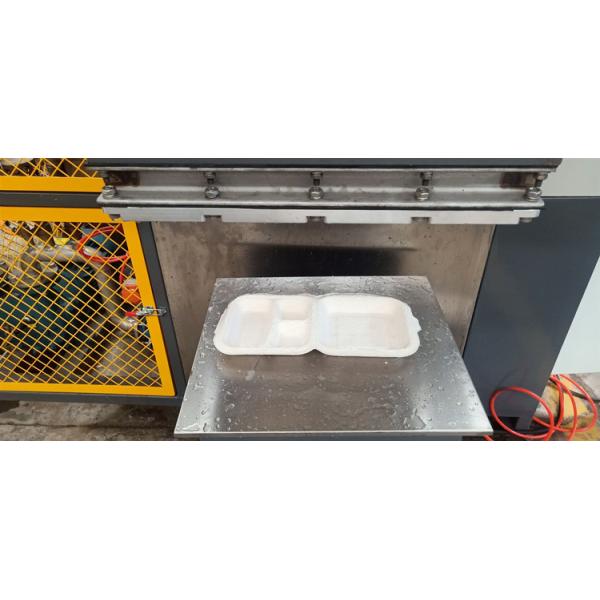 Small Pulp Moulding Machinery Bagasse Molded Pulp Packaging Machinery