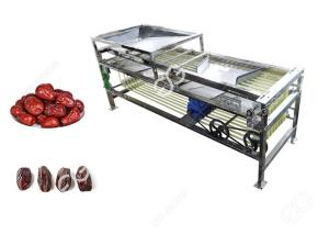Multifunction Automatic Dates Sorting And Grading Machine With 2000kg/h Dates Process Machinery