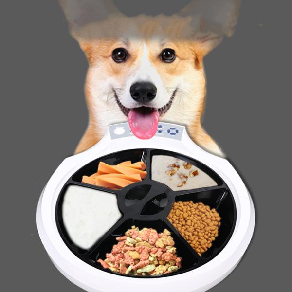 Quality Digital Timer 12 Seconds 320*240 PPI Automatic Pet Feeder for sale