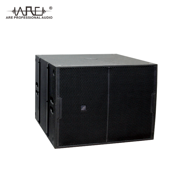 ARE AUDIO passive dual 10 inch outdoor line array speaker subwoofer system for cabaret party