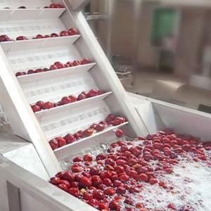 Buy cheap Automatic Jujube Processing Line 50T/H Extraction And Beating product