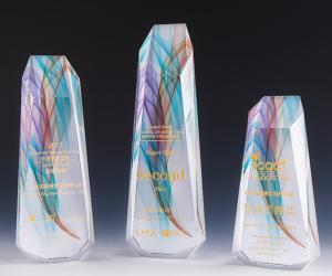 Multi Color Crystal Resin Trophy Clear And Wear Resistant
