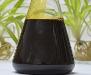 China Supercritical CO2 Extraction Cinnamon Oleoresin on sale