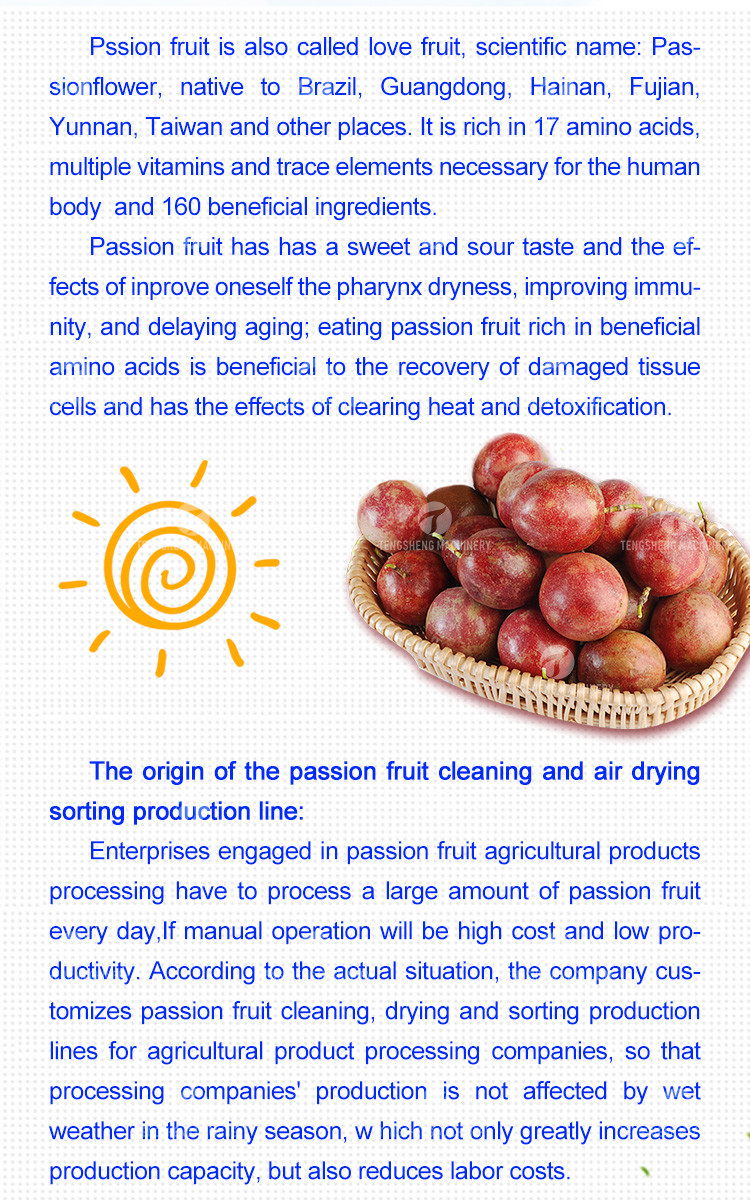 Passion Fruit Bubble Cleaning And Drying Sorting Production Line