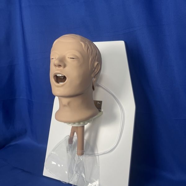 Kingpo Brand Plastic Material Simulated Patient Head with ISO 9360-2-figure 1 Standard and 1 Year Warranty