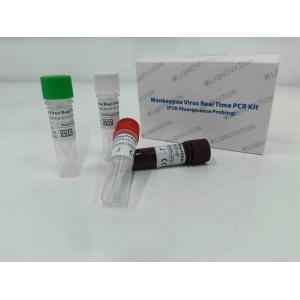 Buy cheap Monkeypox Virus PCR Rapid Test Kit Real Time For Human Serum Lesion Exudate Samples product