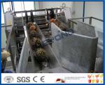 High Efficient Pineapple Processing Line With Pineapple Cutting Machine