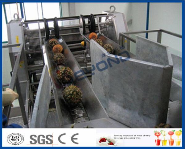 Quality High Efficient Pineapple Processing Line With Pineapple Cutting Machine for sale