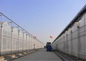 Sound Insulation Polycarbonate Sheets Greenhouse Anti Fog Surface Design Free Samples