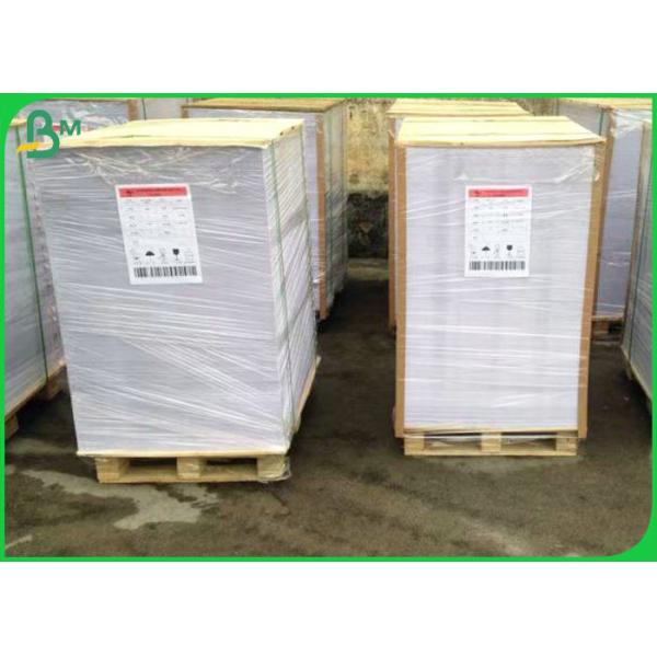 75gsm 80gsm 100gsm 100% Wood Pulp Offset Paper In Reel For School Book Use 75gsm 80gsm 100gsm 100% Wood Pulp Offset Paper In Reel For School Book Use