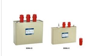 China Safety Low Voltage Protection Devices Low Voltage Shunt Capacitor With Low Loss on sale