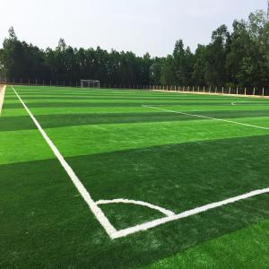 China Courtyard Synthetic Artificial Grass Equipped with Sturdy PP NET Backing on sale