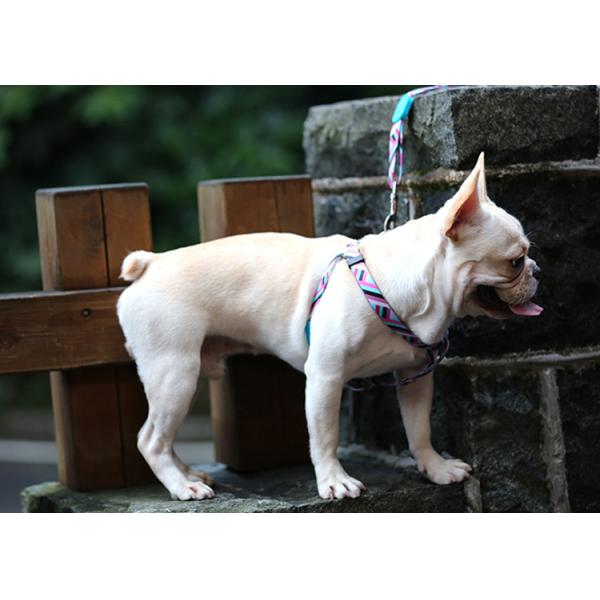 Easy Pull Dog Walking Harness For Hiking