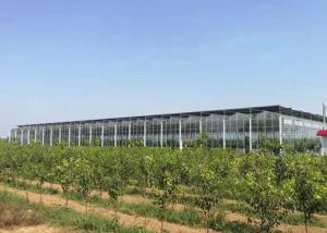 China Large Solar PV System Agricultural Glass Greenhouse For Planting Vegetables on sale