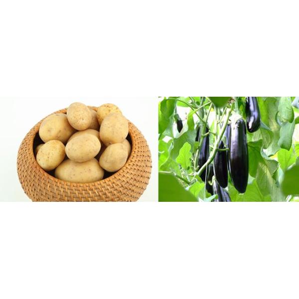 horticulture, agriculture, greenhouse, university research center led grow light plant growth lights, flowering cultiv