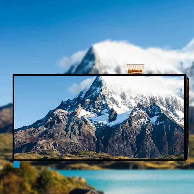 6.01Inch Amoled Display With 1080(W)×2160(H) Resolution Bright In Colour Respond fast