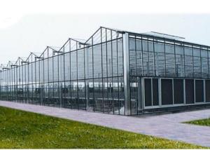 Single Span Vegetable Plastic Cover Greenhouse High Production With Shading System