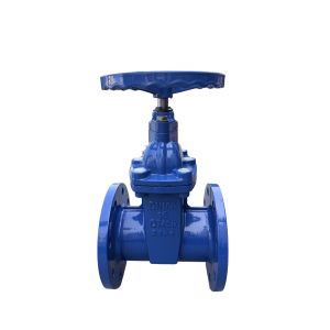 Buy cheap Cast Iron Nrs Resilient Seat Wedge Gate Valve from wholesalers