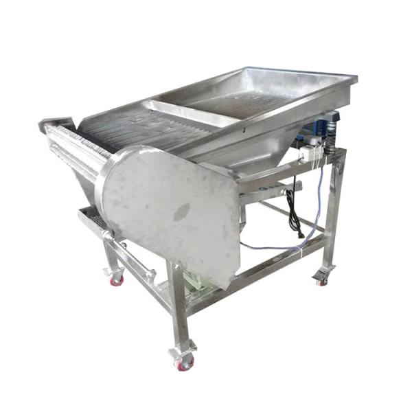 automatic broad bean skin peeler pigeon pea peeling pea sheller machine