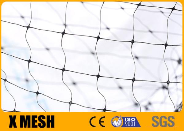 Quality Durable Weatherproof Plastic Mesh Netting Standard Bird Net Uv Stabilized for sale