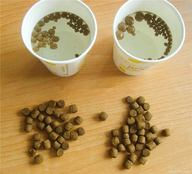 Reliable Floating Fish Feed Production Line With High Efficiency
