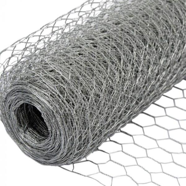 Quality TLSW Galvanized Hexagonal Wire Netting Chicken Wire Mesh BWG22 for sale