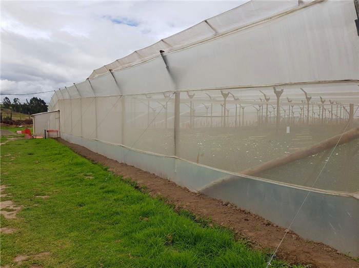 Anti-Insect, Anti -Hail Mesh Netting, Agriculture, Crop Cover Netting, Fruit Tree Cover, Greenhouse Cover Nets